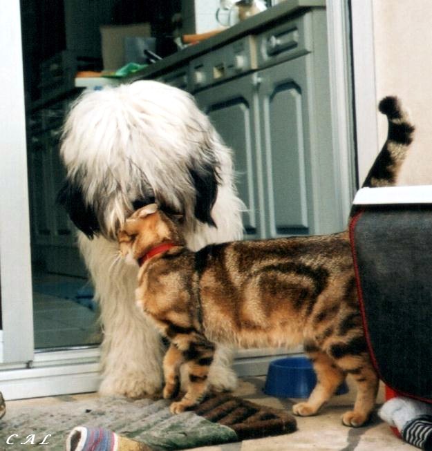 MAXOU et Ronny
